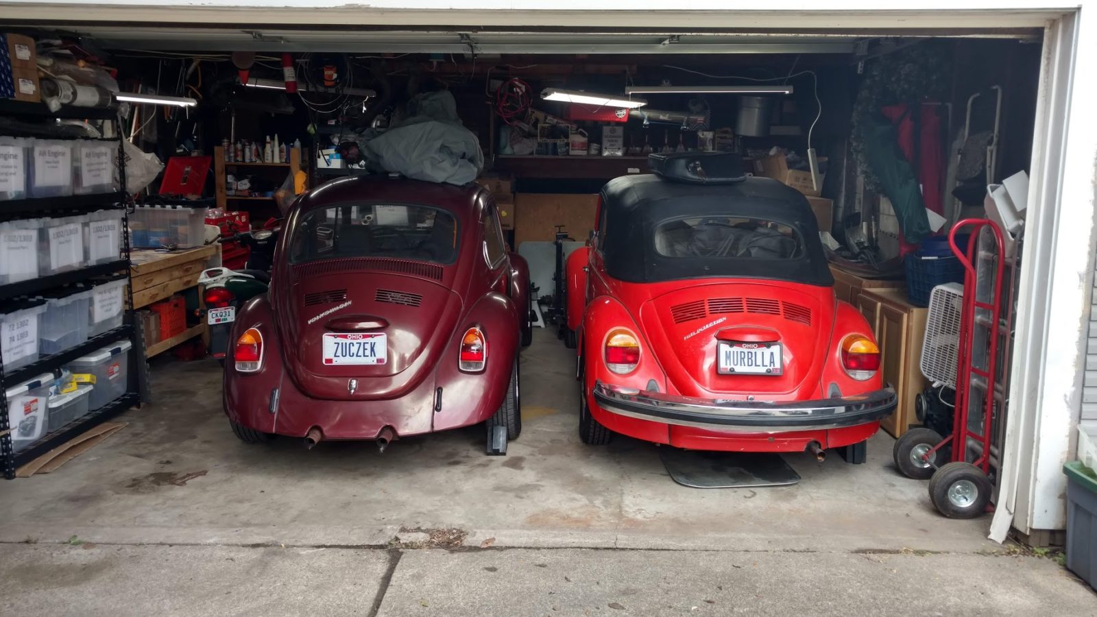Żuczek and Murbella in the Garage of Love™