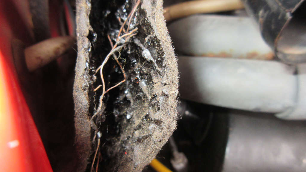 1979 VW FI Engine -
