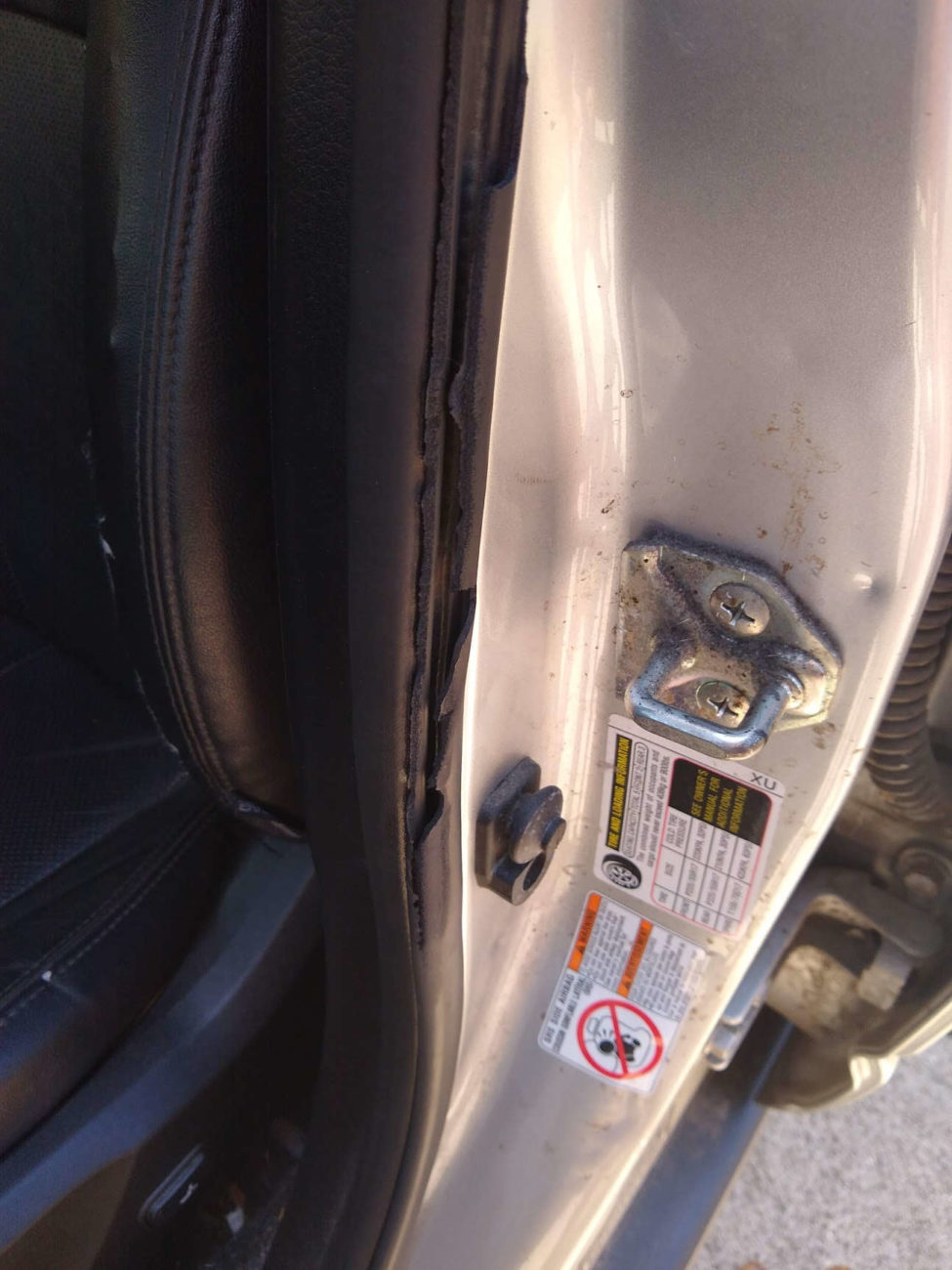 Subaru Forester - Driver Door Seal