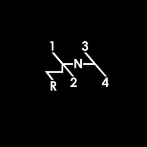 Garage of Love Site icon