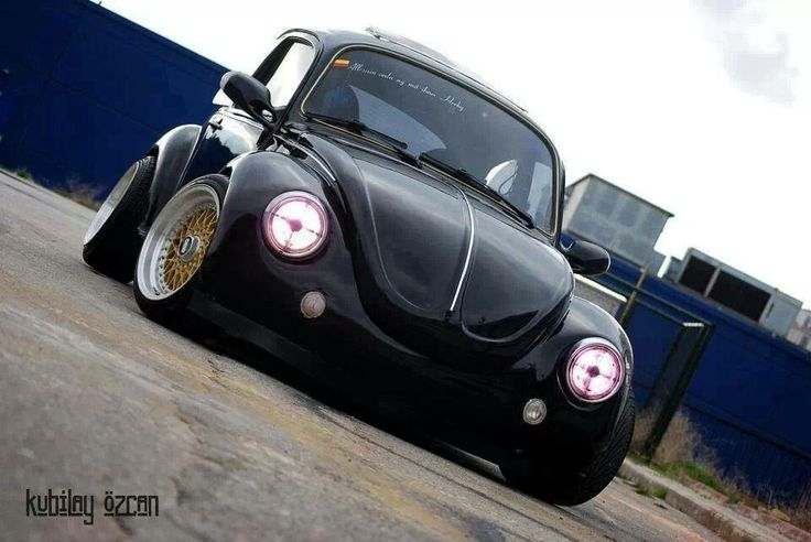 German Look Beetle - Found Image