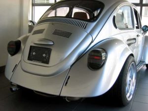 German Look Beetle - Found Image