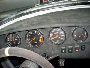 German Look Beetle - Found Image