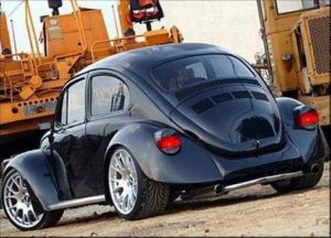 German Look Beetle - Found Image