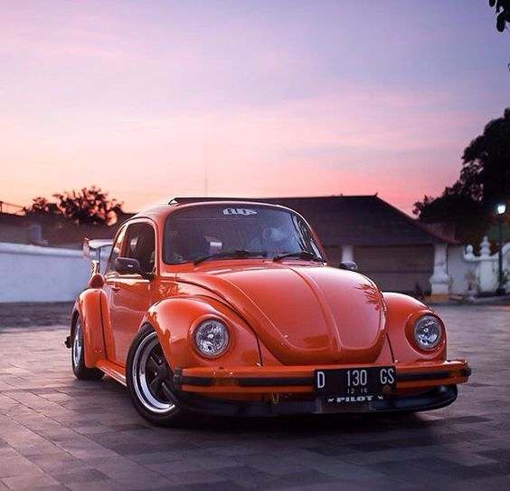 German Look Beetle - Found Image