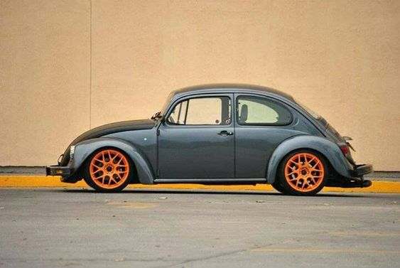 German Look Beetle - Found Image
