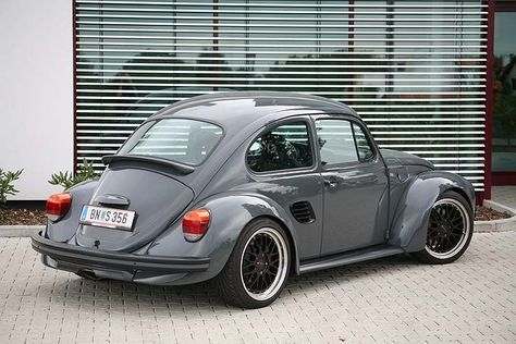 German Look Beetle - Found Image