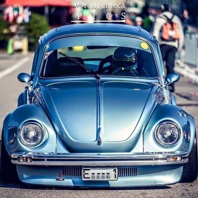 German Look Beetle - Found Image