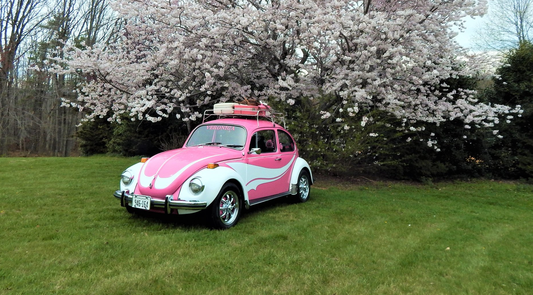 Penny Williams' 1971 Super Beetle Veronica