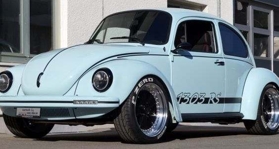 German Look Beetle - Found Image
