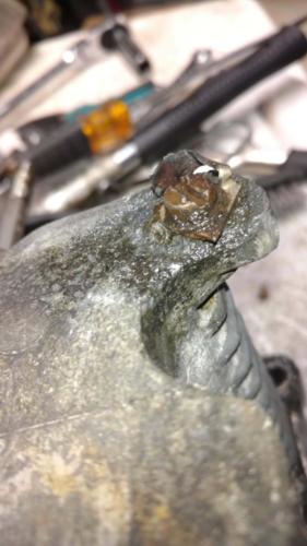 AH Engine - corrosion around the tine mounting points